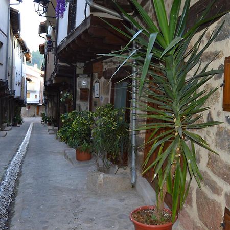 Casa Apartamento Rural As Andurinas 圣马尔廷德特雷韦霍 外观 照片