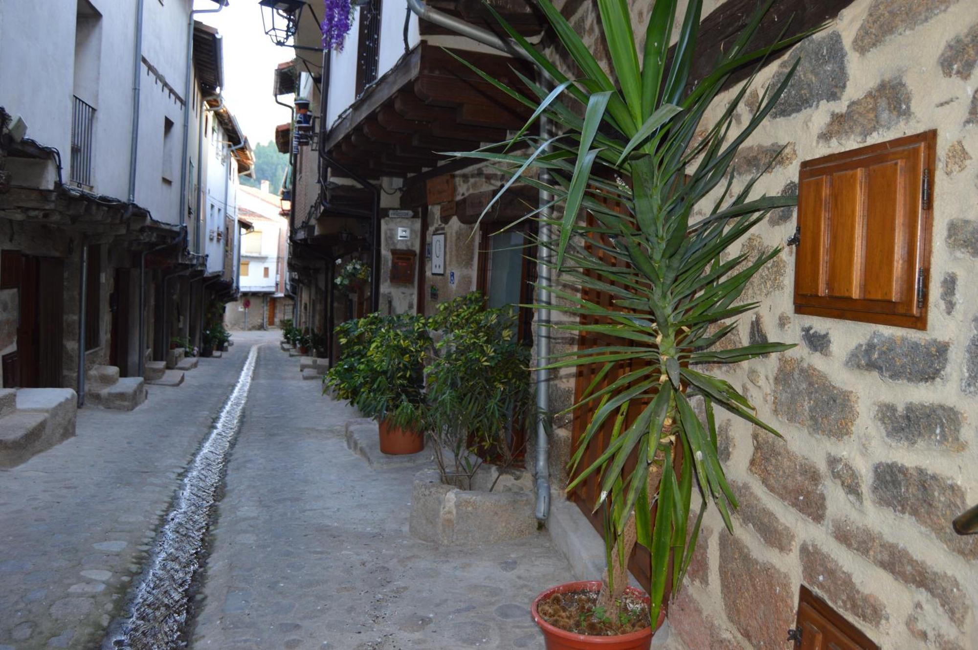 Casa Apartamento Rural As Andurinas 圣马尔廷德特雷韦霍 外观 照片